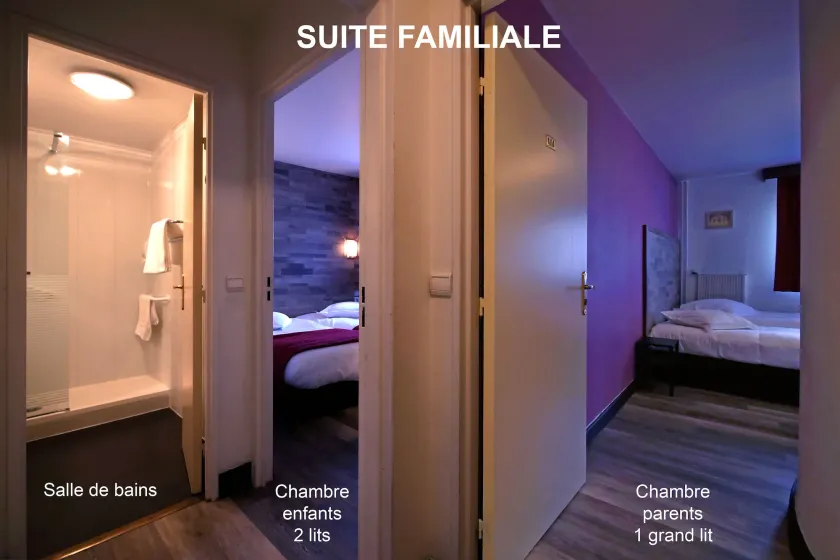 Hôtel Le Vert Galant Villepinte - Image 1