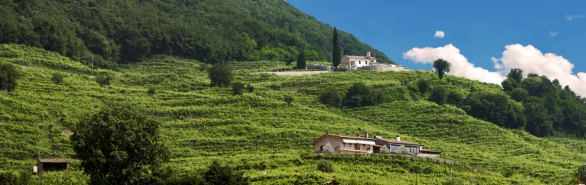 Agriturismo B&B Casa Bortolin - Image 1