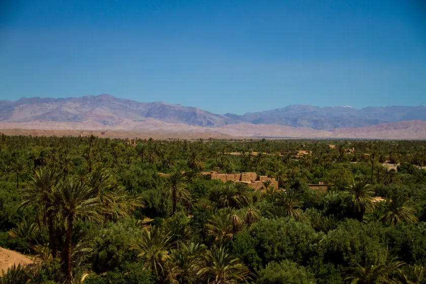 Skoura Lodge - Image 1
