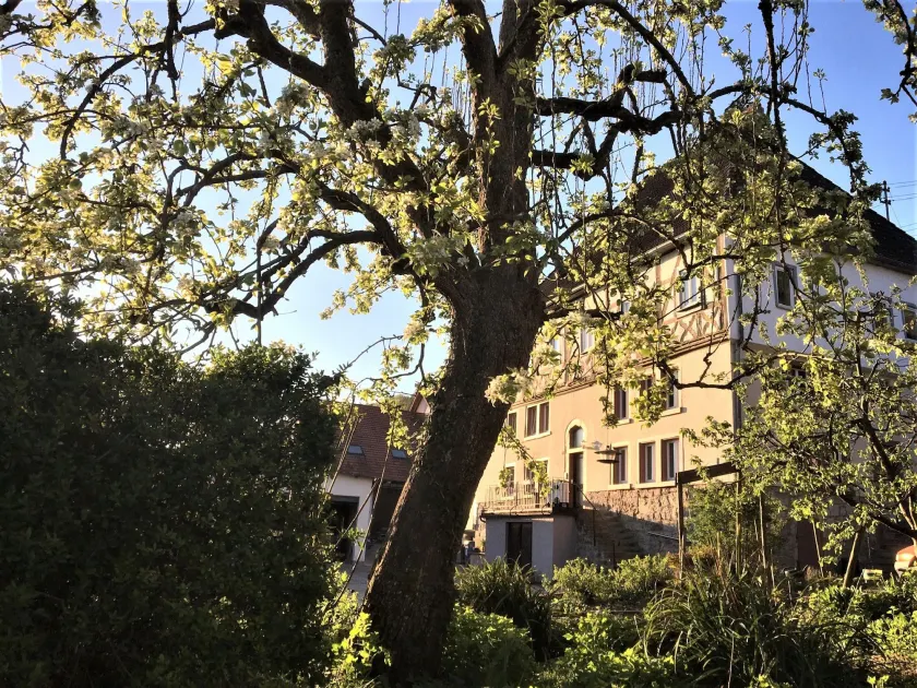Beim Schloß Michel - Image 1