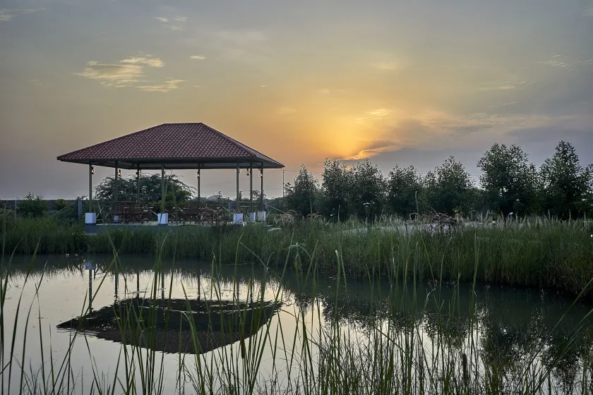 Blackbuck Safari Lodge Velavadar - Image 1
