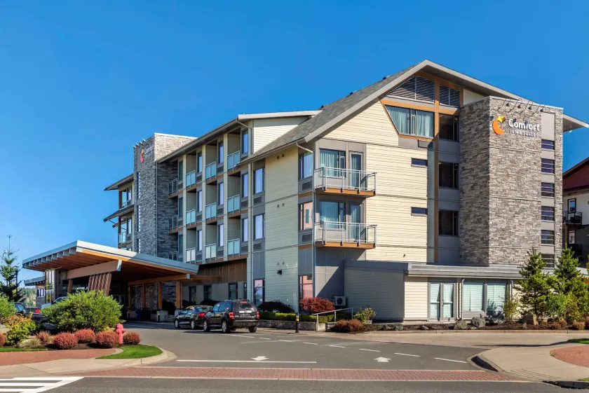 Comfort Inn & Suites - Image 1