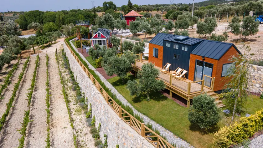 Urlachi Çiftliği - Image 1