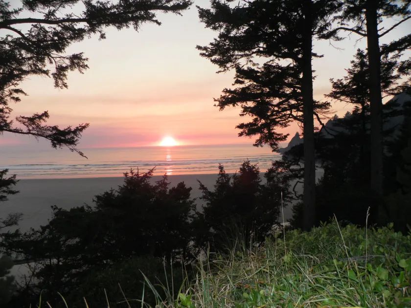 Tyee Lodge Bed And Breakfast - Image 1