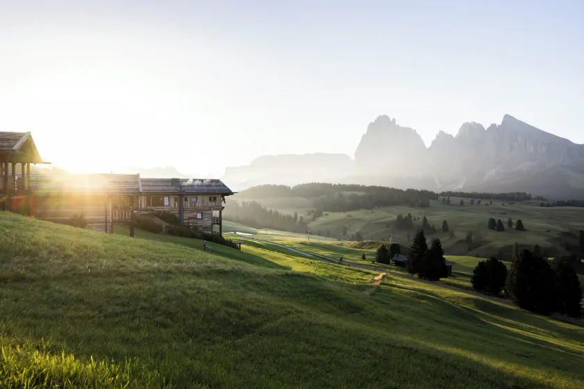 ADLER Alpe - Image 1