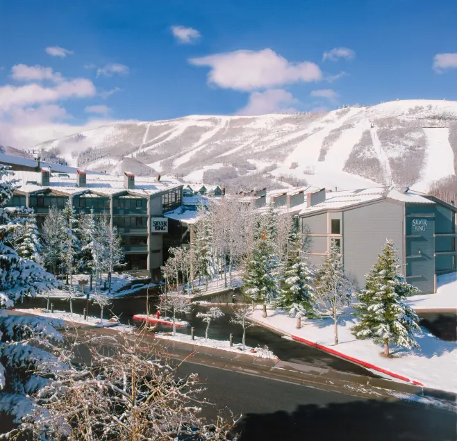 Silver King by All Seasons Resort Lodging - Image 1