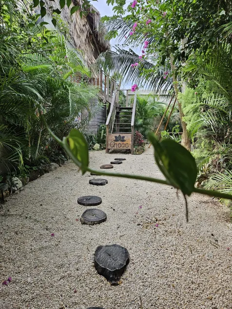 Jungla Bacalar - Rom