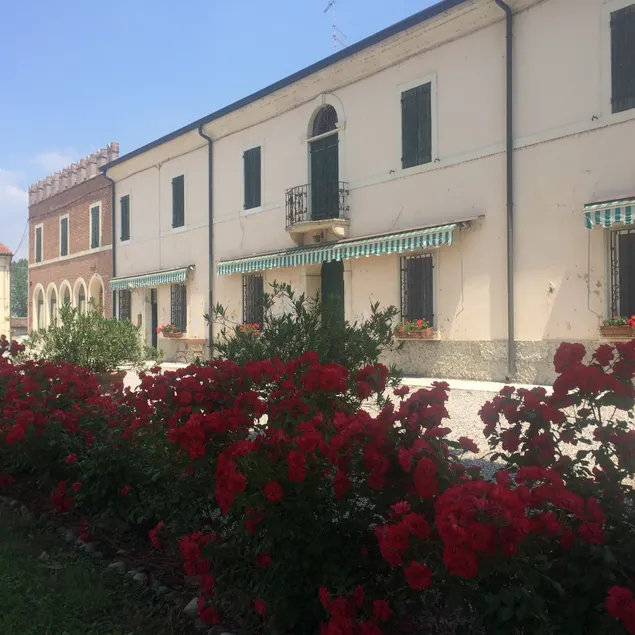 Azienda Agricola Le Colombare - Image 1
