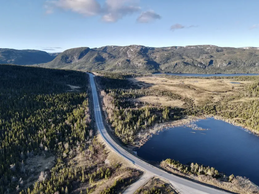 Bonne Bay Cottages - Image 1