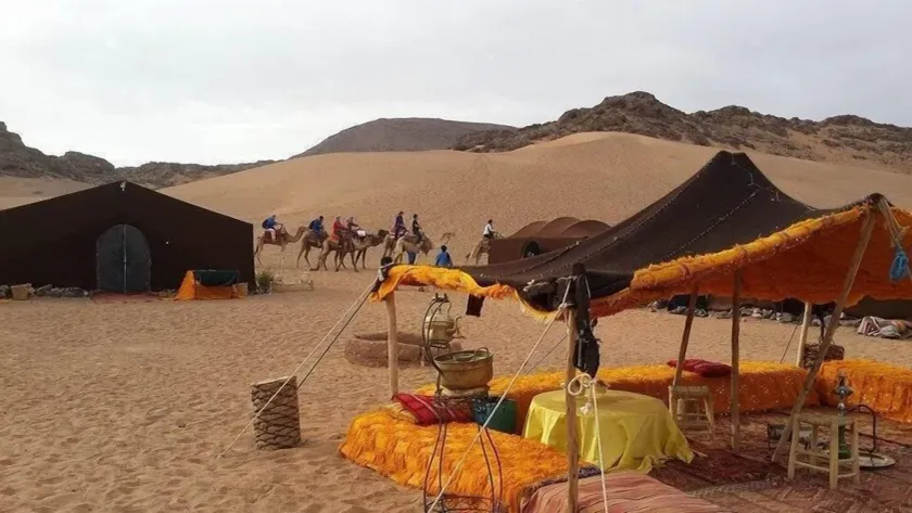 berber sahara - Image 1