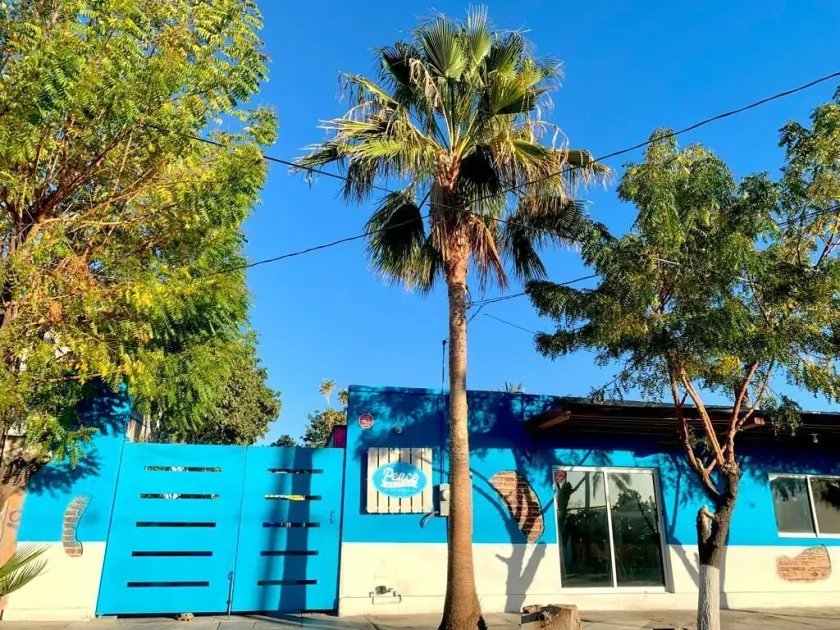 Peace Hostel MX - Image 1