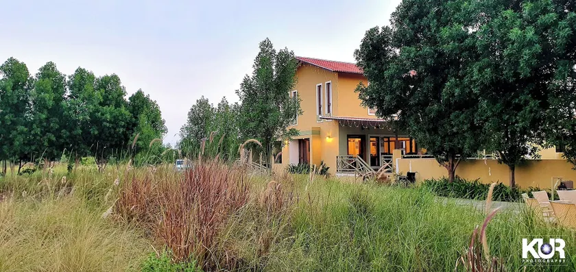 Blackbuck Safari Lodge Velavadar - Image 1