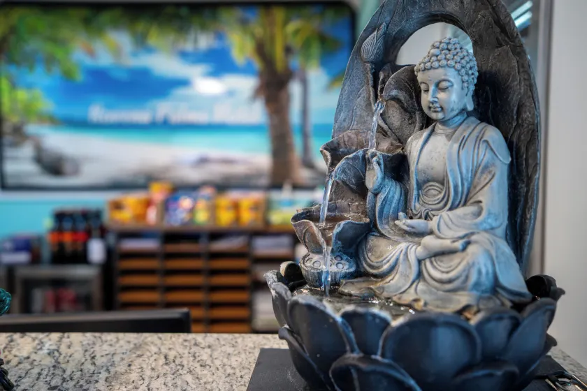 Novena Palms Motel - Reception