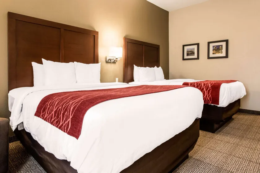 Comfort Inn & Suites Streetsboro - Kent - Image 1
