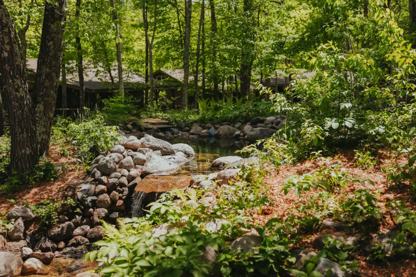 Jack Pines Resort - Image 1