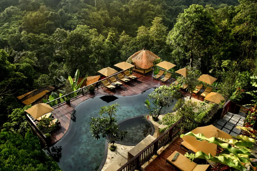 Nandini Jungle by Hanging Gardens - Image 1
