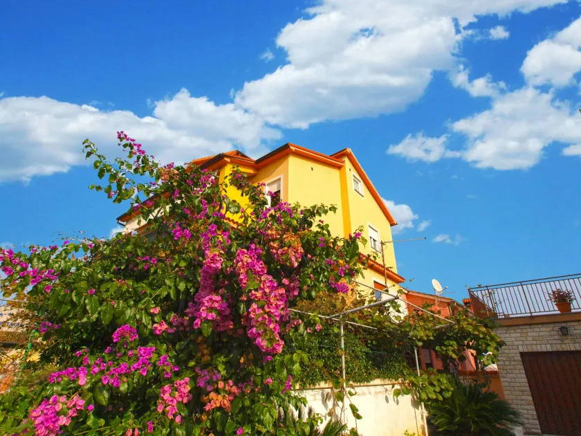 Apartment Snezana 1200 - Image 1