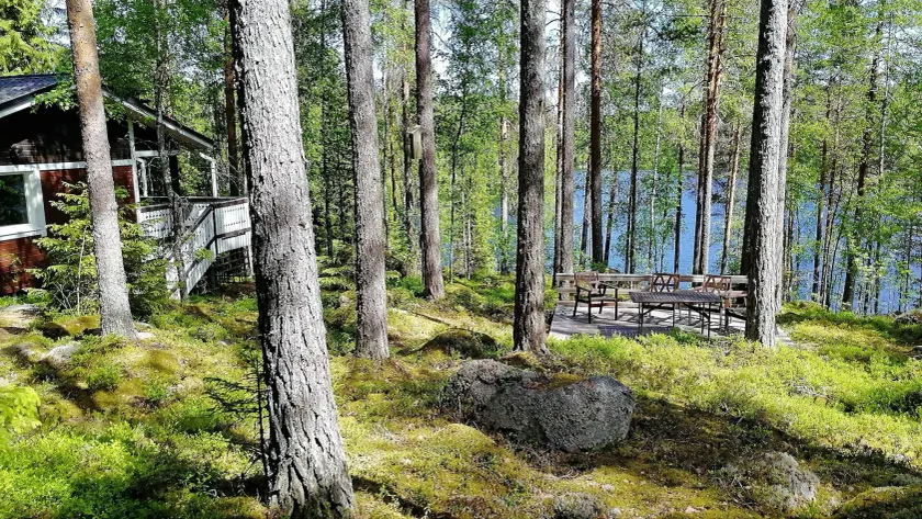 Salkolahti Minttu - Image 1