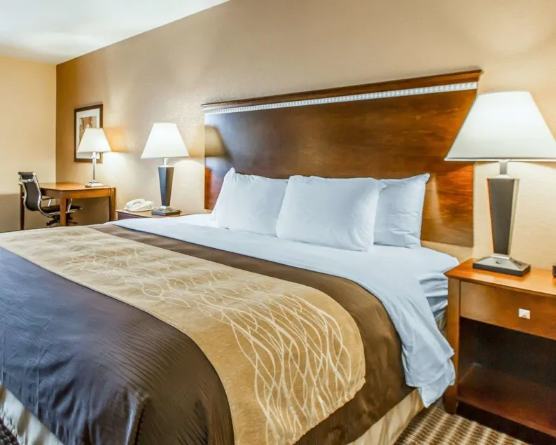 Quality Inn & Suites Mount Pleasant - Image 1