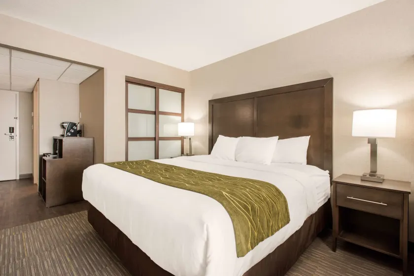Comfort Inn & Suites - Image 1