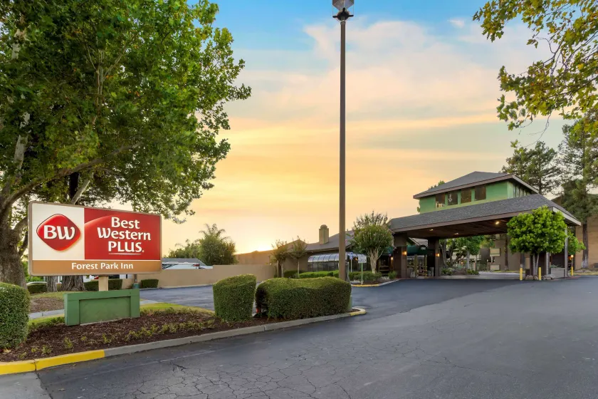 Best Western Plus Forest Park Inn - Image 1