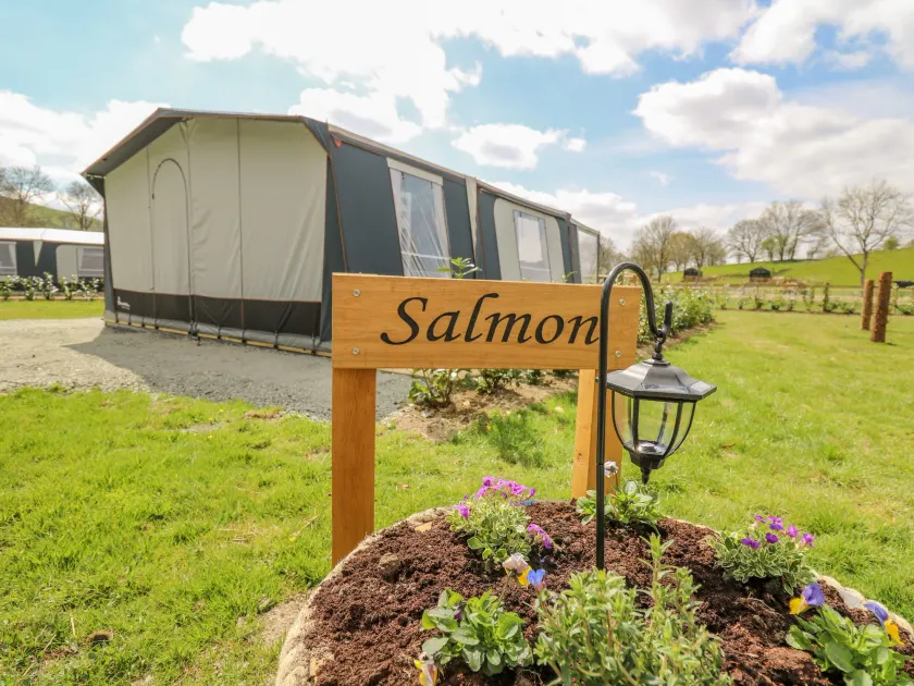 The Salmon - Image 1