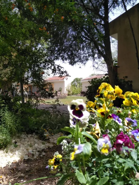 Jordan Valley Birding Lodge - Image 1