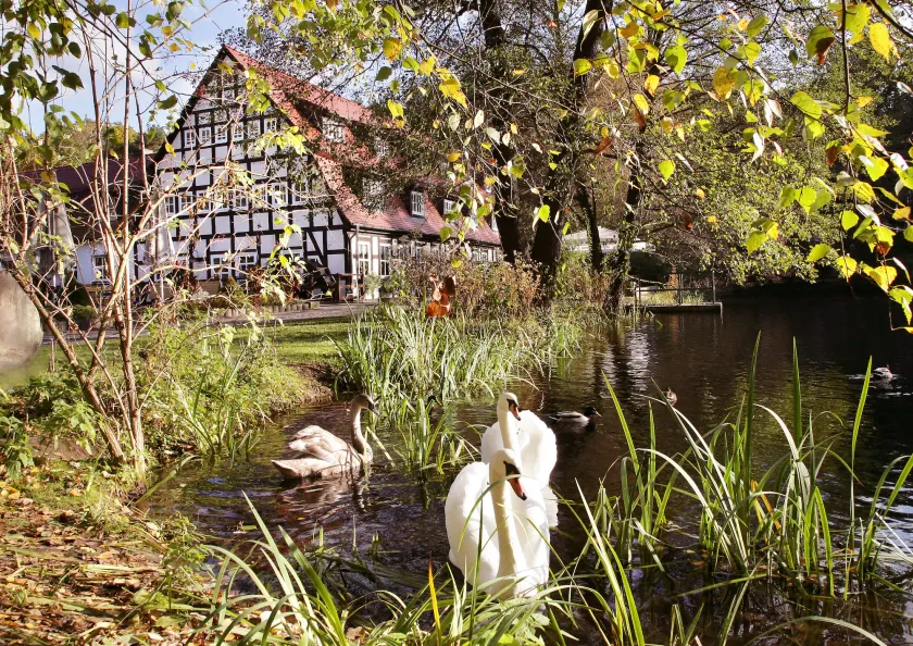 Springbach-Mühle Belzig - Image 1