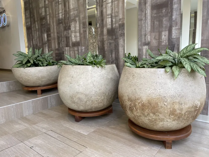 Rado Hotel - Santa María - Interior entrance