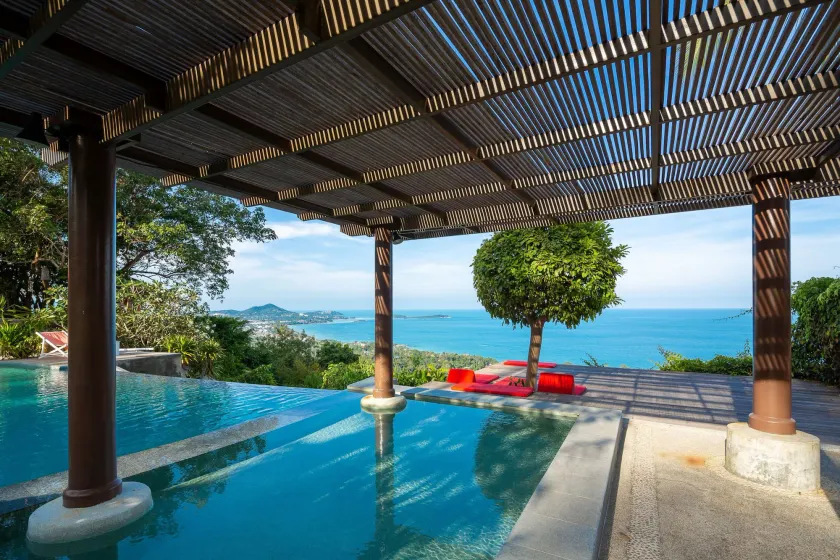 The Jungle Club - Image 1