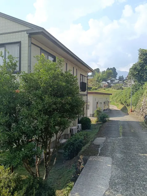 guest house mami No groups of men or smokers - Image 1
