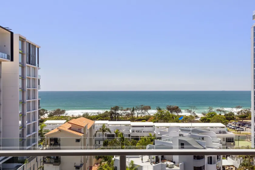 Verve on Cotton Tree - Image 1