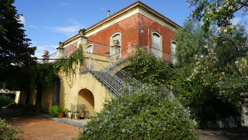 Malvarosa - Image 1