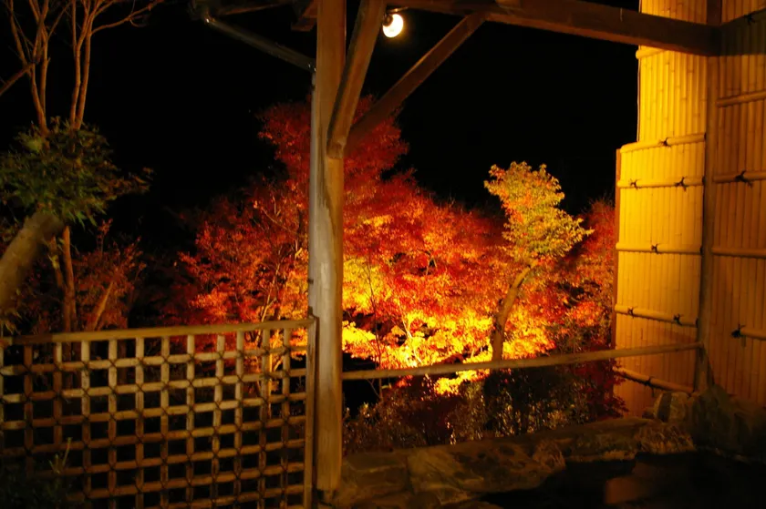 Sawatari Onsen Miyataya Ryokan - Image 1