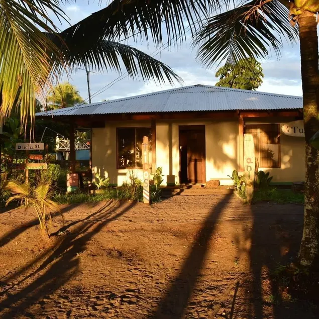 Casa turtle Bogue - Image 1