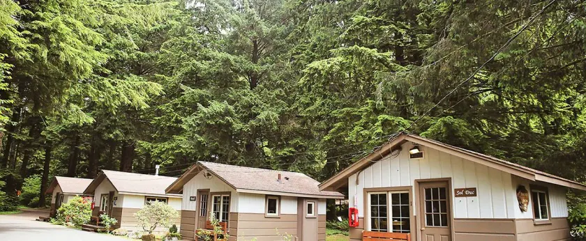 3 Rivers Resort and Guide Service - Image 1