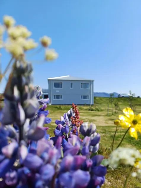 Selið Farm Stay - Family run guesthouse close to Borgarnes - Image 1