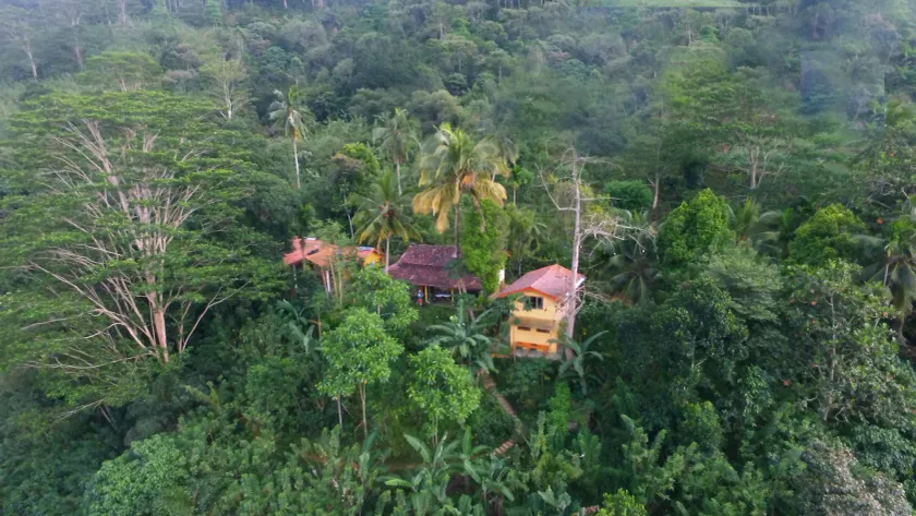 Natural Mystic Sanctuary - Image 1
