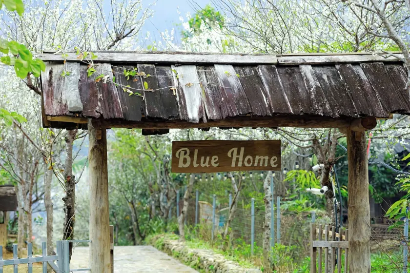Blue home - Image 1