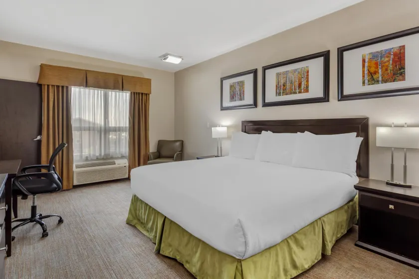Best Western Wainwright Inn & Suites - Image 1