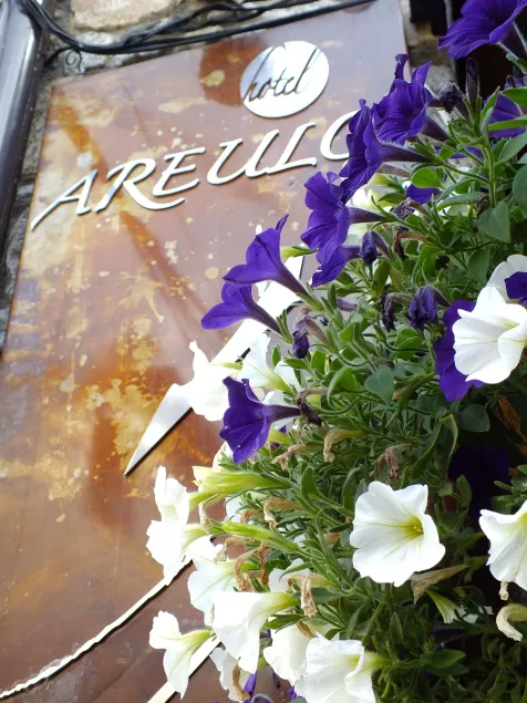 Hotel Areulo - Image 1