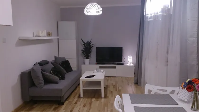 1 Bedroom City Center Apartment - Image 1