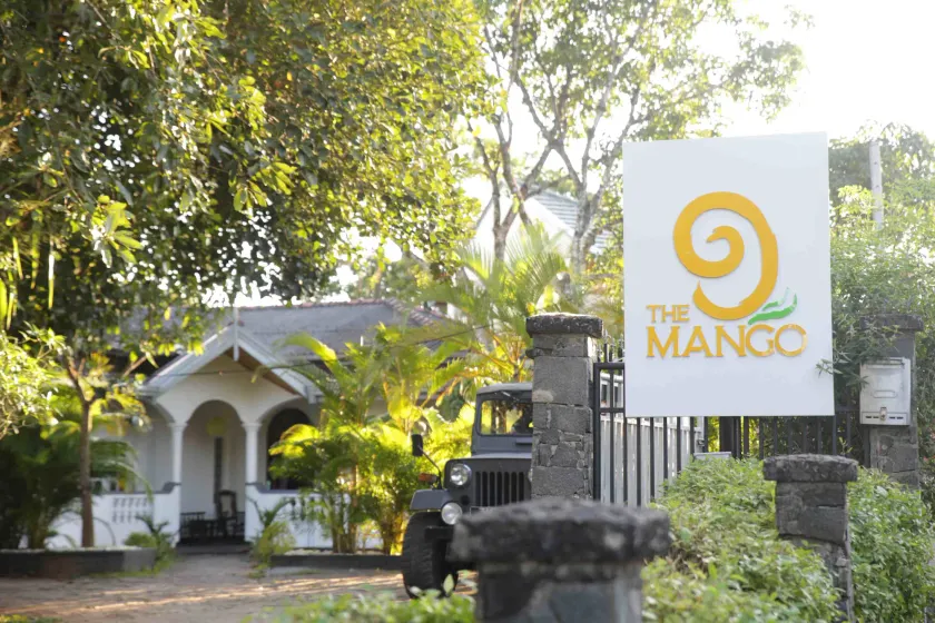 The Mango - Image 1