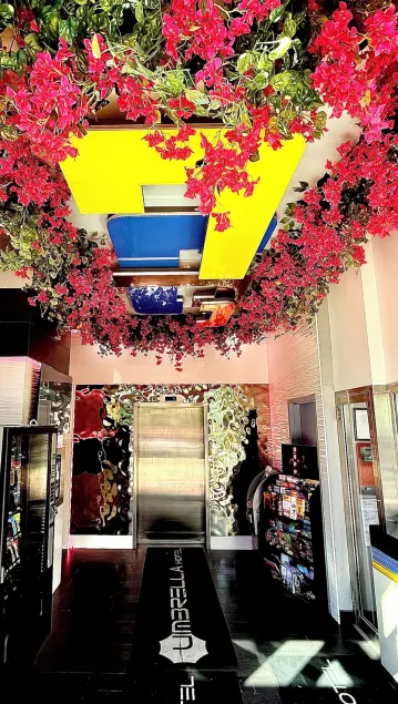 Umbrella Hotel Bronx - Image 1