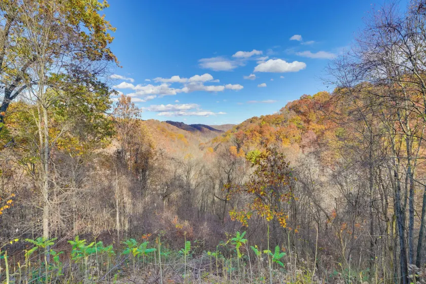 Mtn Views & Outdoor Adventure: Rosedale Home - Image 1