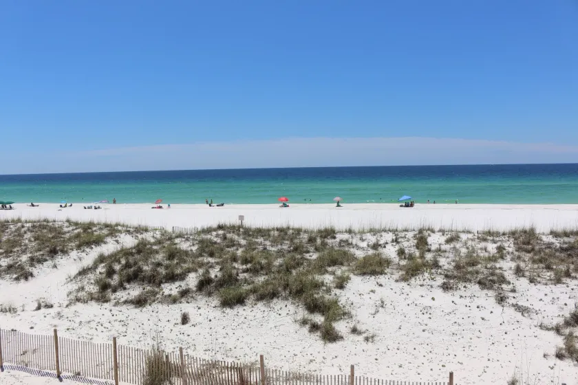 Gulf Winds #202 - Image 1