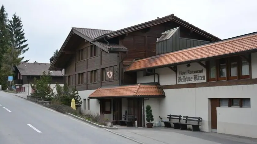 Bellevue-Bären - Image 1