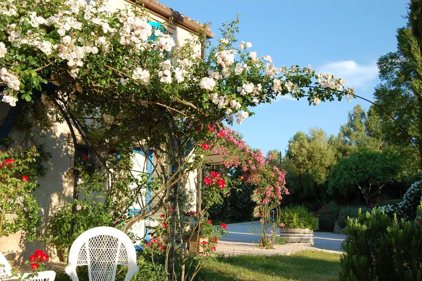 B&B Vento di Rose - Image 1