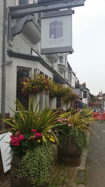 Castle Hotel - Image 1