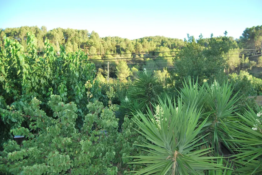 Apartamentos Les Moreres - Image 1
